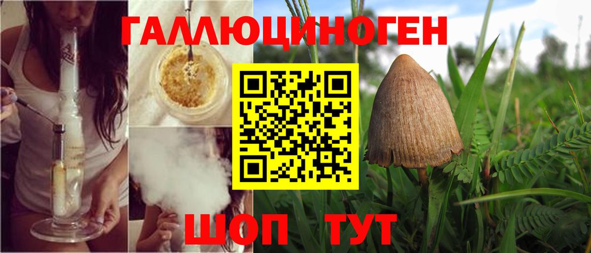 Галлюциногенные грибы Cubensis Краснокаменск