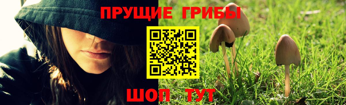 Галлюциногенные грибы Cubensis  Вход с VPN  Псилоцибиновые грибы ЛСД  Краснокаменск 